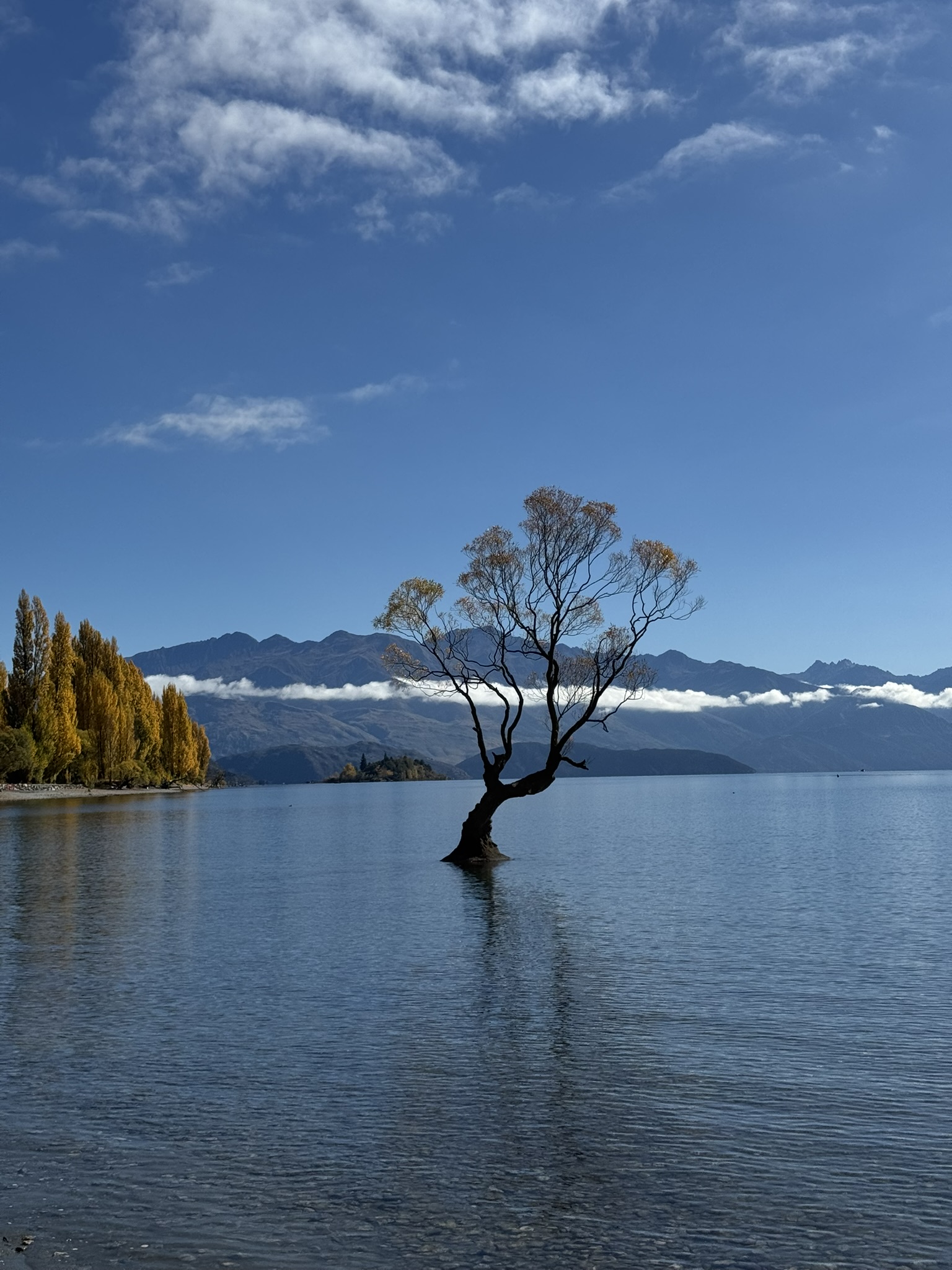 The 10 best things to do in New Zealand